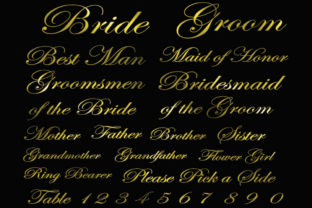 Wedding Calligraphy Set: A Digital Toolkit for Elegant Design